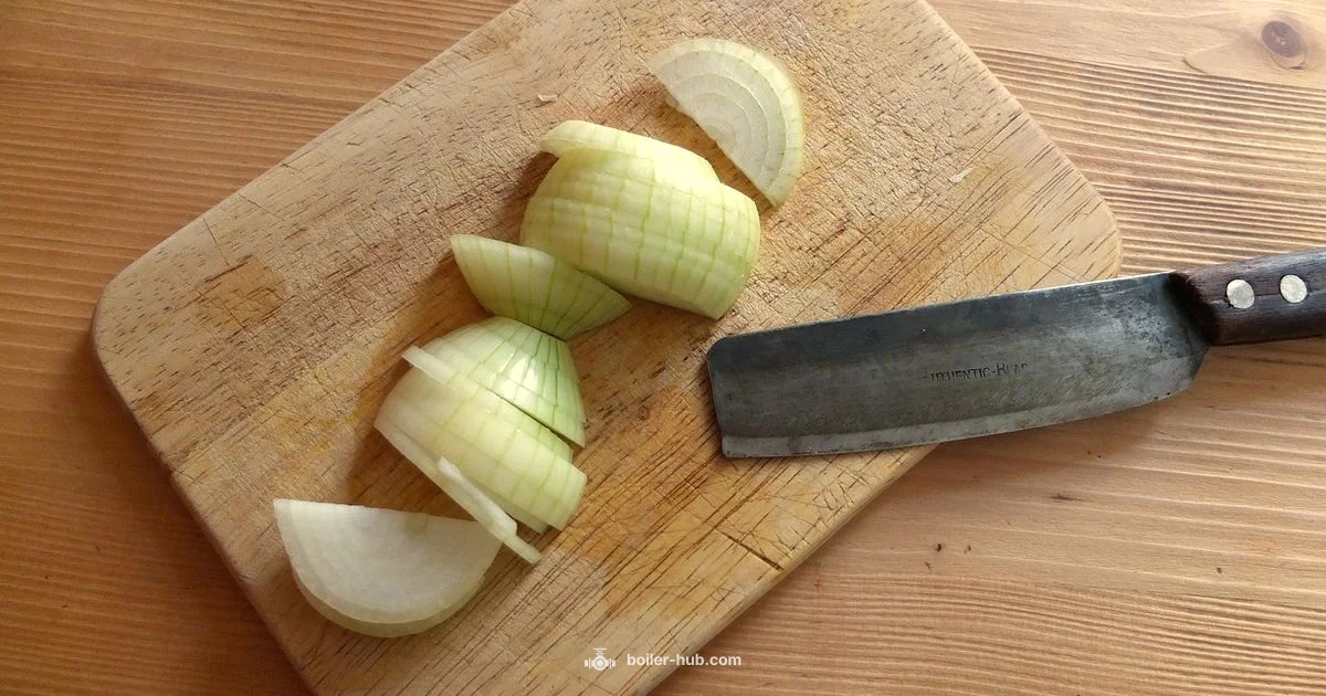 Onion Substitution Guide Onion Substitution Guide - Boiler Hub
