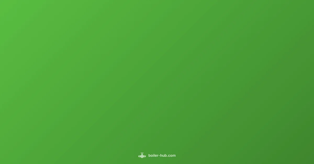 Boiler Adoption Timeline Boiler Adoption Timeline - Boiler Hub (illustration)