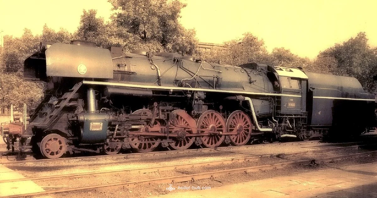 Boiler Onions Guide - Boiler Hub