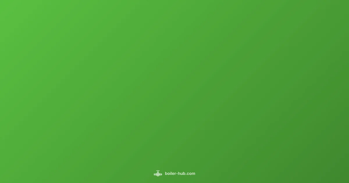 Boiler Safety Essentials Boiler Safety Essentials - Boiler Hub (illustration)