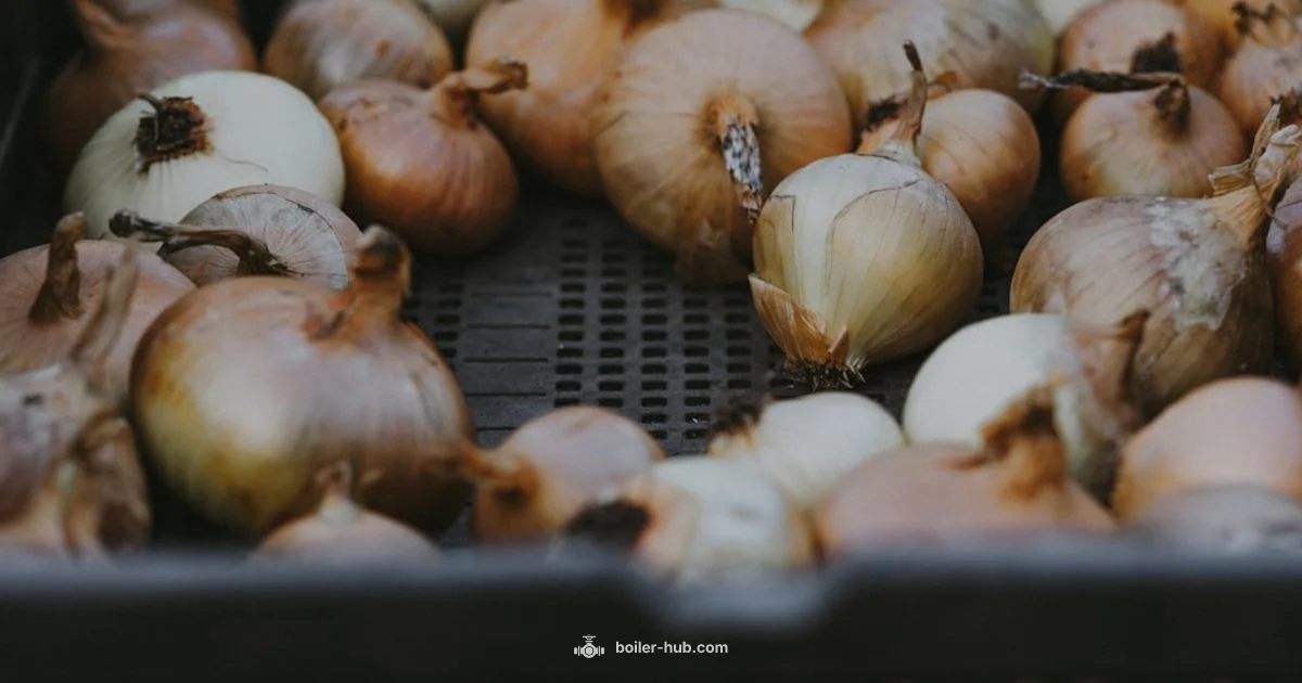 Boiled Onions Guide - Boiler Hub