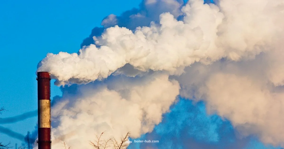 Boiler Temperature - Boiler Hub