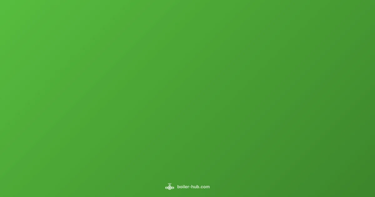 Boiler vs Water Heater - Boiler Hub (illustration)