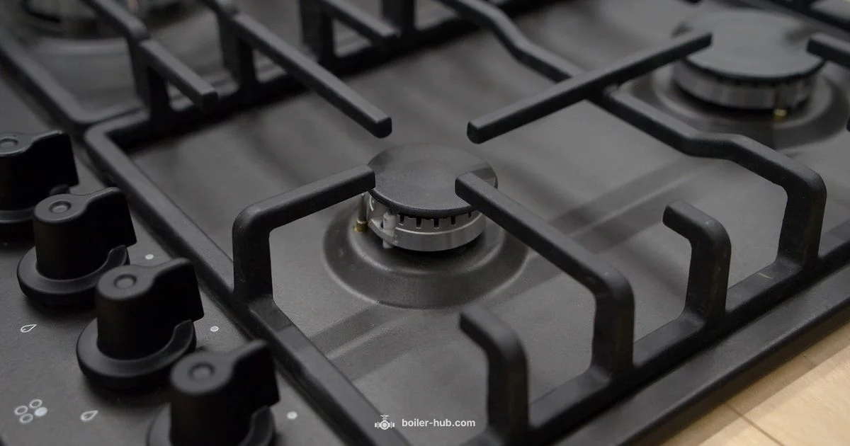 Heat Source Guide - Boiler Hub