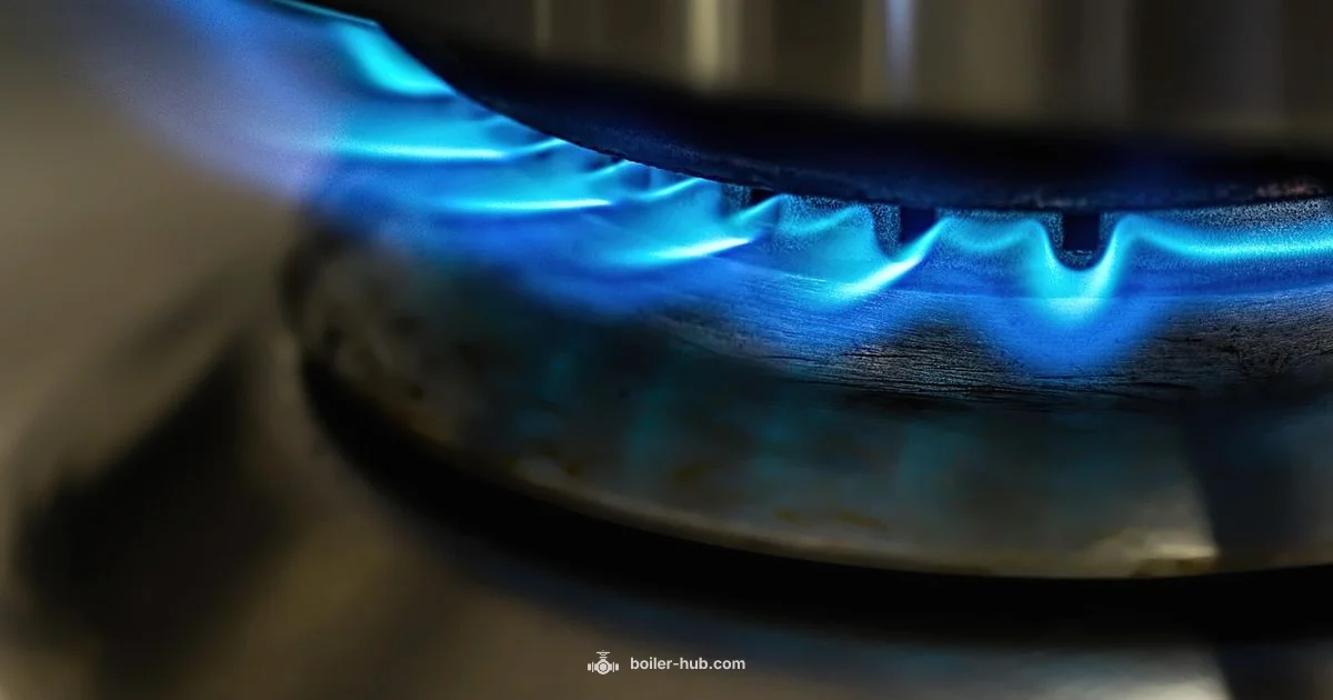 Gas Leak Safety Gas Leak Safety - Boiler Hub