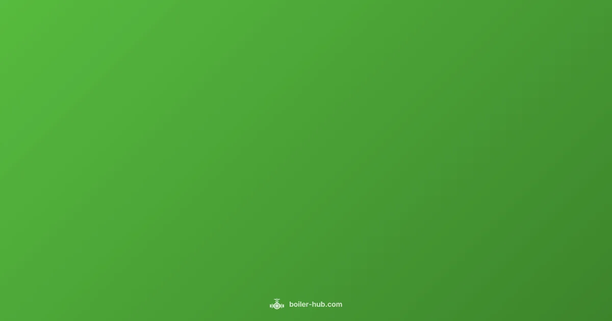 Pilot Light Basics - Boiler Hub (illustration)