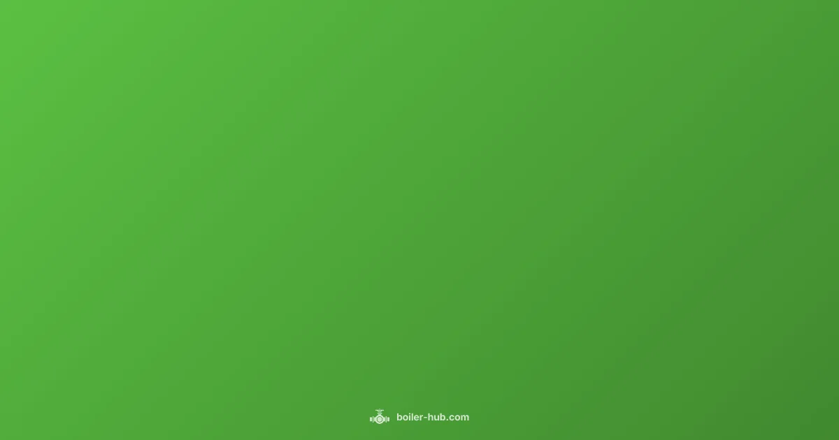 Worcester Boiler Guide - Boiler Hub (illustration)