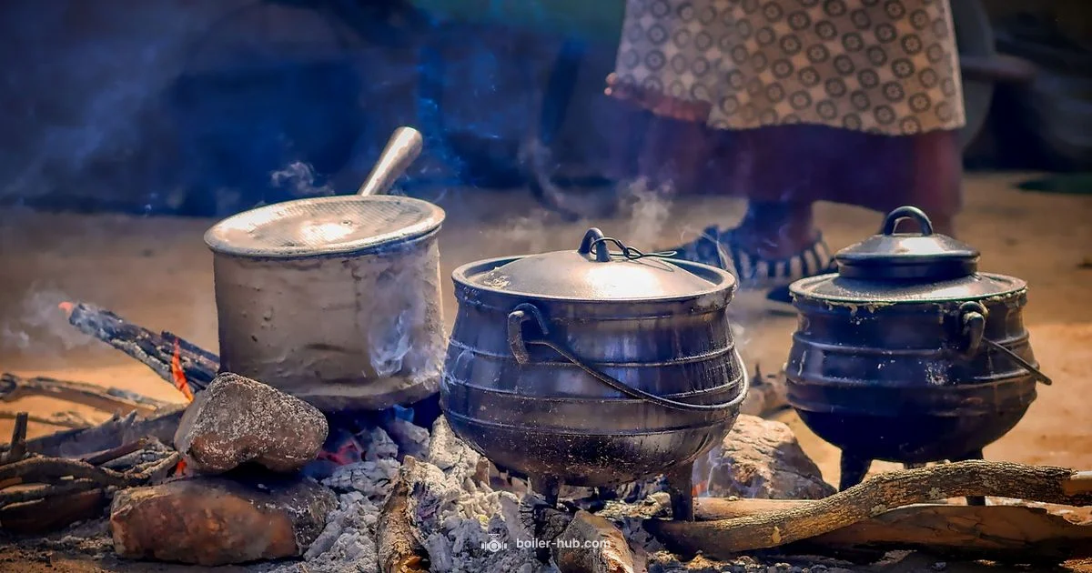 Back Boiler Guide Back Boiler Guide - Boiler Hub