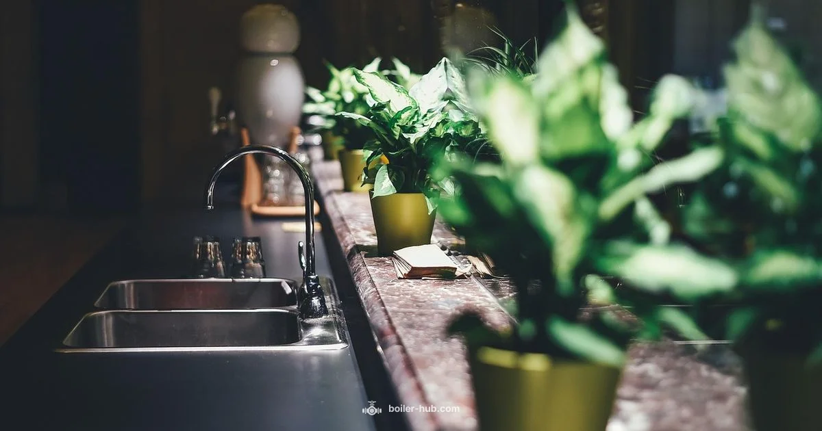 Boiler Kitchen Guide - Boiler Hub