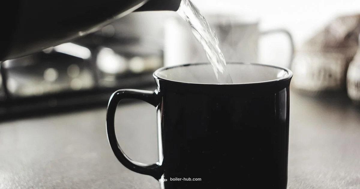 Electric Water Boiler - Boiler Hub