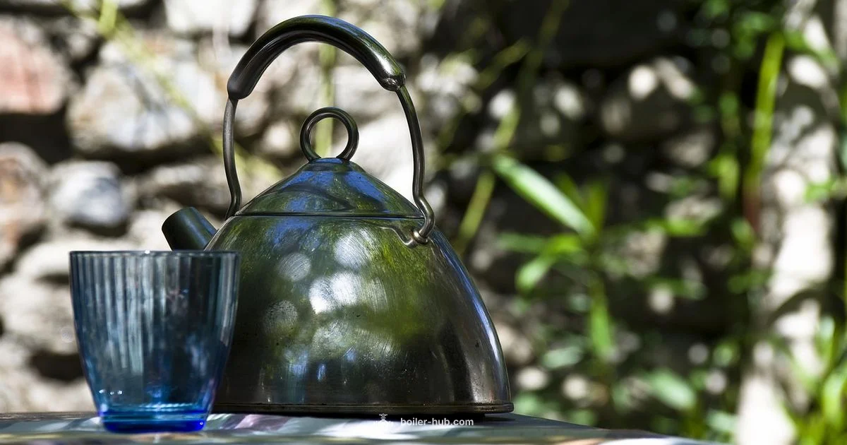 Aquastat Overview - Boiler Hub