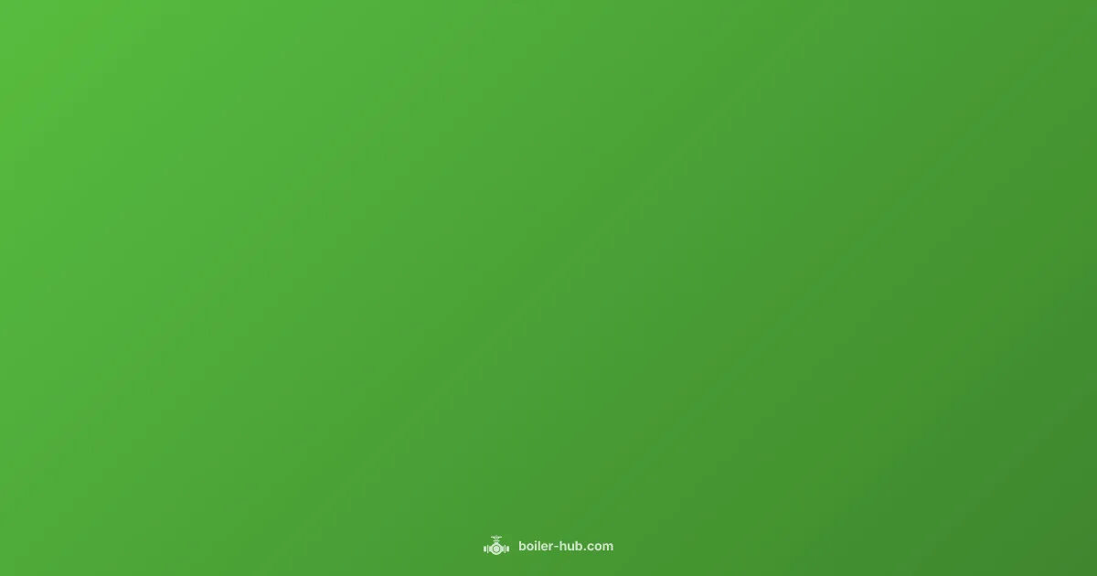 Flue for Boiler Replacement - Boiler Hub (illustration)