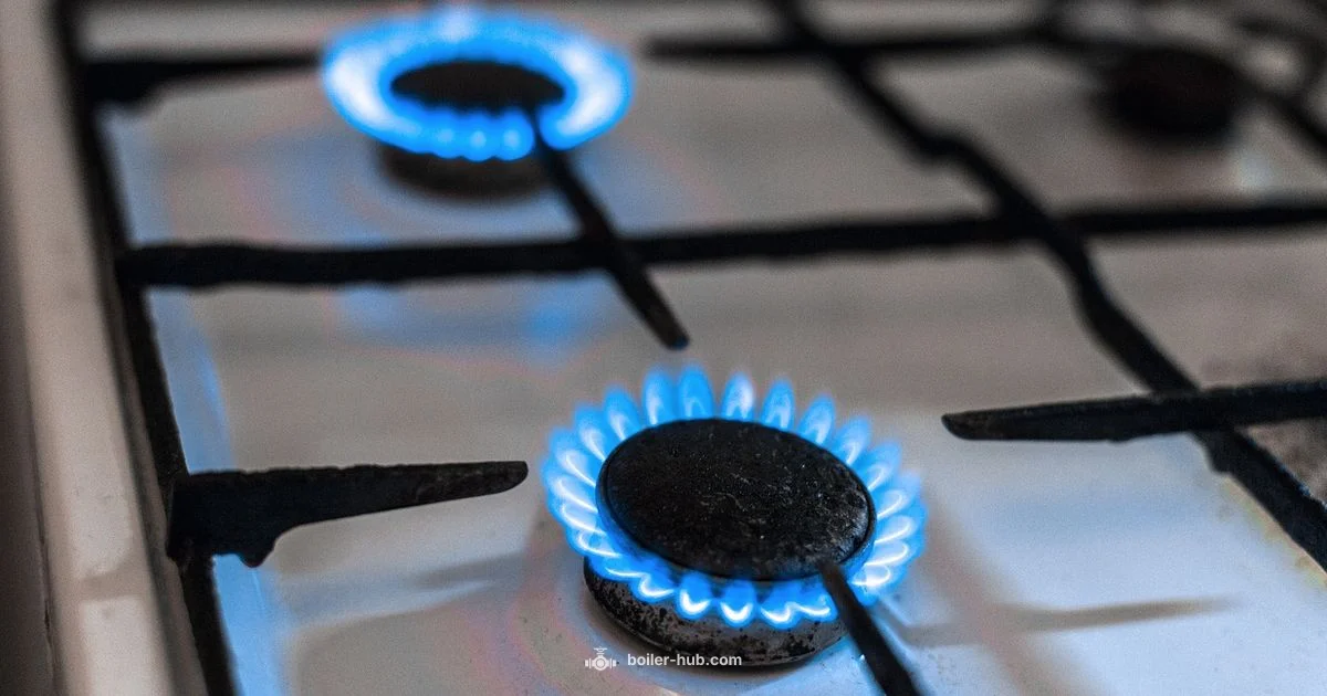 Boilers Explained Boilers Explained - Boiler Hub