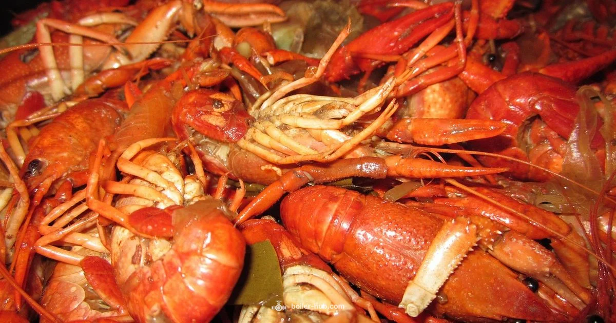 Crawfish Boiler Kit Guide - Boiler Hub