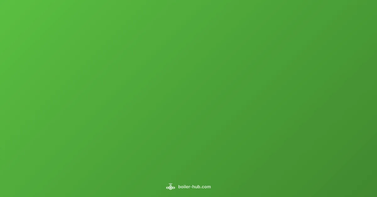 Boiler Leak Guide - Boiler Hub (illustration)