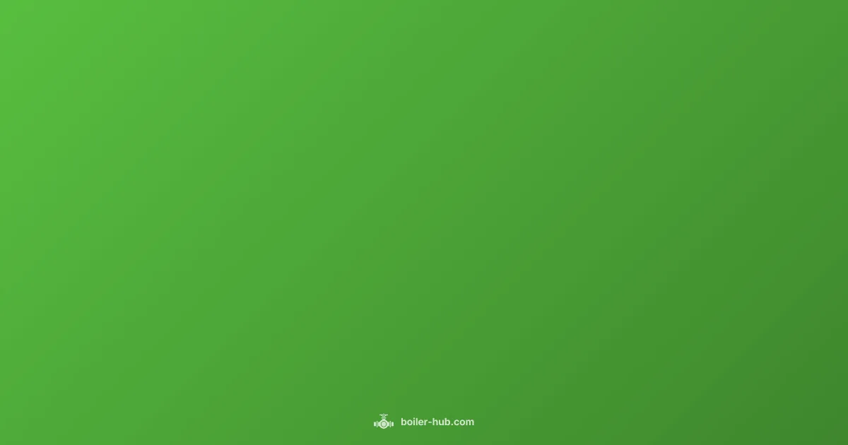 Gas Boiler Guide - Boiler Hub (illustration)